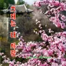 Korean Film Music 3 - You Are My Lover album cover